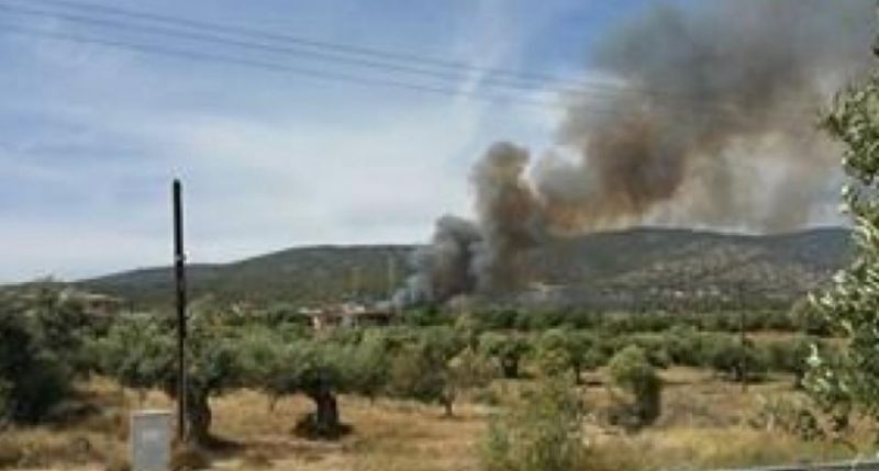 Πυρκαγιά κοντά στο χωριό Κούτσι Νεμέας