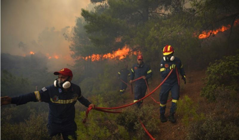 Πυρκαγιές στην Πελοπόννησο: Μέτωπα σε Πύργο και Γύθειο – Ενισχύθηκαν οι δυνάμεις στο Σχίνο Μεσσηνίας