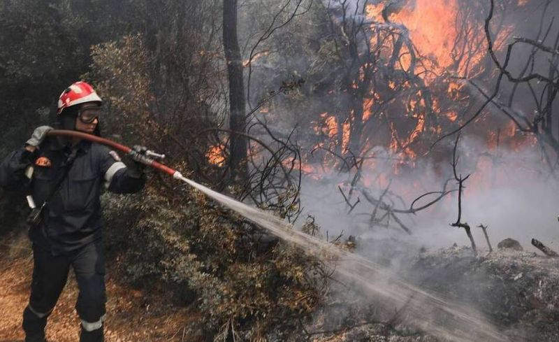 ΤΩΡΑ: Σε εξέλιξη πυρκαγιά στο Αμόνι Σοφικού