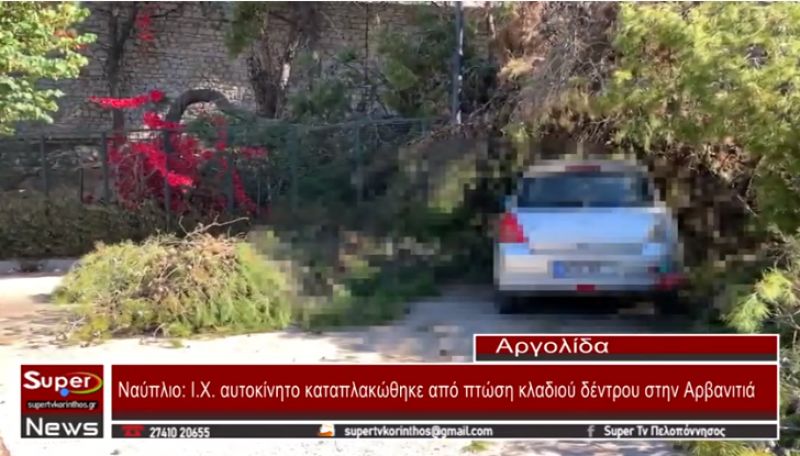Ι.Χ. αυτοκίνητο καταπλακώθηκε από πτώση κλαδιού δέντρου στην Αρβανιτιά στο Ναύπλιο
