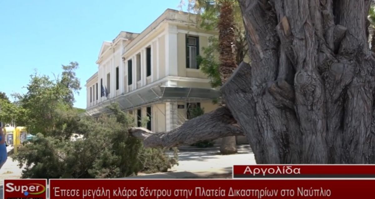 Έπεσε μεγάλη κλάρα δέντρου στην Πλατεία Δικαστηρίων στο Ναύπλιο (VIDEO)