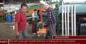 Γιάννης Καλαμπάκας: Σε καλές τιμές κυμαίνονται οι εξαγωγές των πορτοκαλιών (video)