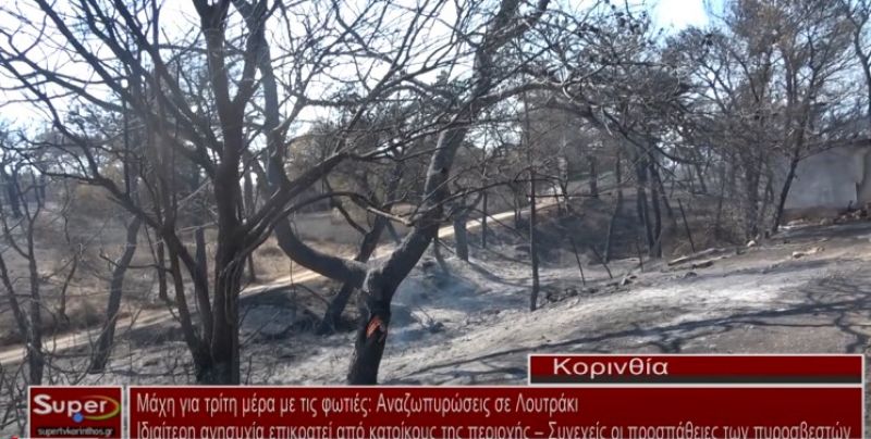Μάχη για τρίτη μέρα με τις φωτιές: Αναζωπυρώσεις σε Λουτράκι - Ανησυχία κατοίκων (video)
