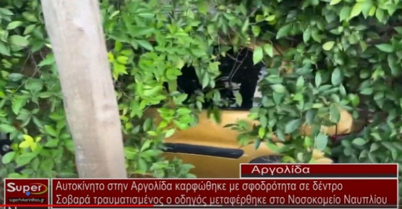 Αυτοκίνητο στην Αργολίδα καρφώθηκε με σφοδρότητα σε δέντρο (VIDEO)