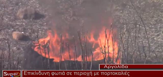 Επικίνδυνη φωτιά σε περιοχή με πορτοκαλιές και χαμηλή βλάστηση στα Πυργιώτικα Ναυπλίου (ΒΙΝΤΕΟ)