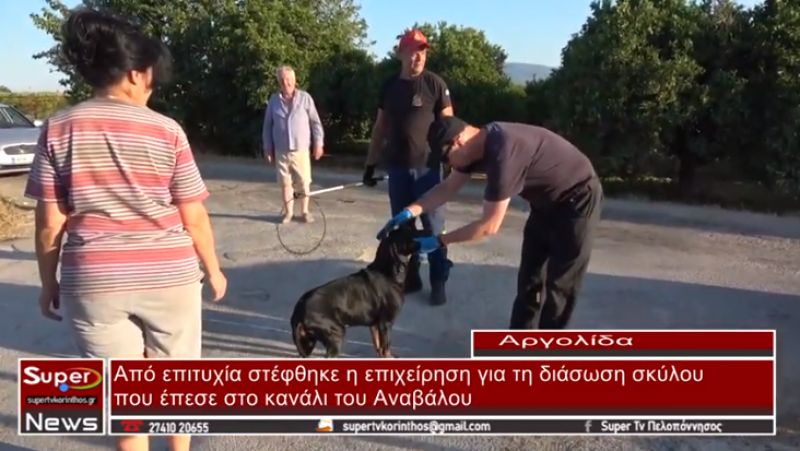 Από επιτυχία στέφθηκε η επιχείρηση για τη διάσωση σκύλου που έπεσε στο κανάλι του Αναβάλου