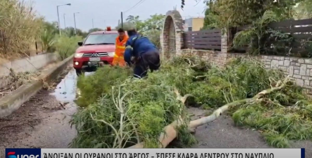 ΆΝΟΙΞΑΝ ΟΙ ΟΥΡΑΝΟΙ ΣΤΟ ΆΡΓΟΣ – ΈΠΕΣΕ ΚΛΑΡΑ ΔΕΝΤΡΟΥ ΣΤΟ ΝΑΥΠΛΙΟ (VIDEO)