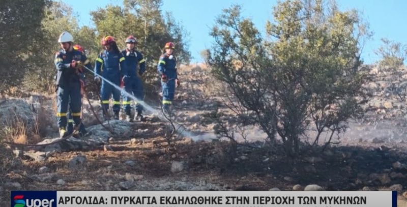 ΠΥΡΚΑΓΙΑ ΕΚΔΗΛΩΘΗΚΕ ΣΤΗΝ ΠΕΡΙΟΧΗ ΤΩΝ ΜΥΚΗΝΩΝ (VIDEO)