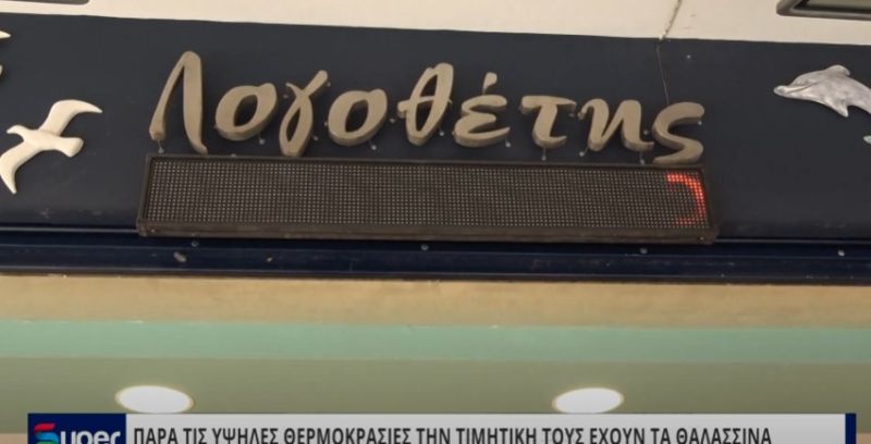 ΒΙΝΤΕΟ: ΠΑΡΑ ΤΙΣ ΥΨΗΛΕΣ ΘΕΡΜΟΚΡΑΣΙΕΣ ΤΗΝ ΤΙΜΗΤΙΚΗ ΤΟΥΣ ΕΧΟΥΝ ΤΑ ΘΑΛΑΣΣΙΝΑ