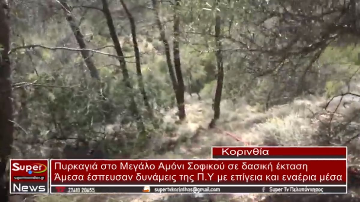 Πυρκαγιά στο Μεγάλο Αμόνι Σοφικού σε δασική έκταση