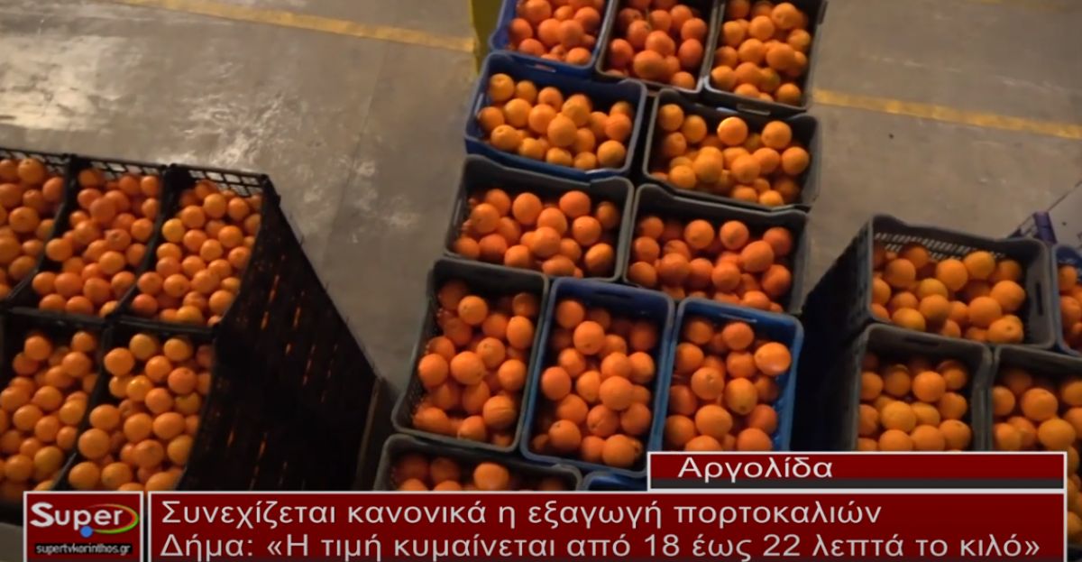 Συνεχίζεται κανονικά η εξαγωγή πορτοκαλιών (video)