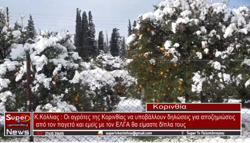 Κόλλιας: Oι αγρότες της Κορινθίας να υποβάλλουν δηλώσεις για αποζημιώσεις