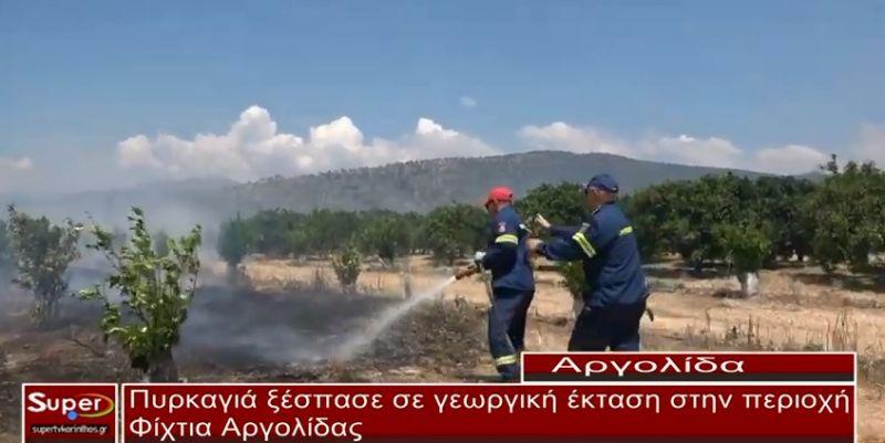 Πυρκαγιά ξέσπασε σήμερα σε γεωργική έκταση στην περιοχή Φίχτια Αργολίδας(VIDEO)