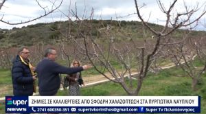 VIDEO: ΖΗΜΙΕΣ ΣΕ ΚΑΛΛΙΕΡΓΕΙΕΣ ΑΠΟ ΣΦΟΔΡΗ ΧΑΛΑΖΟΠΤΩΣΗ ΣΤΑ ΠΥΡΓΙΩΤΙΚΑ ΝΑΥΠΛΙΟΥ