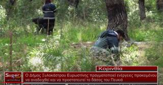 Ο Δήμος Ξυλοκάστρου Ευρωστίνης πραγματοποιεί ενέργειες προκειμένου να αναδειχθεί και να προστατευτεί το δάσος του Πευκιά (βίντεο)
