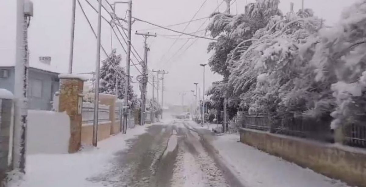 Κακοκαιρία «Ελπίς»: Απροσπέλαστοι οι δρόμοι στον Σχίνο Λουτρακίου -Συνεχίζει η πυκνή χιονόπτωση