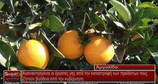 Αγανακτησμένοι δηλώνουν οι εργάτες γης από το πρωτόγνωρο φαινόμενο καταστροφής των προιόντων τους