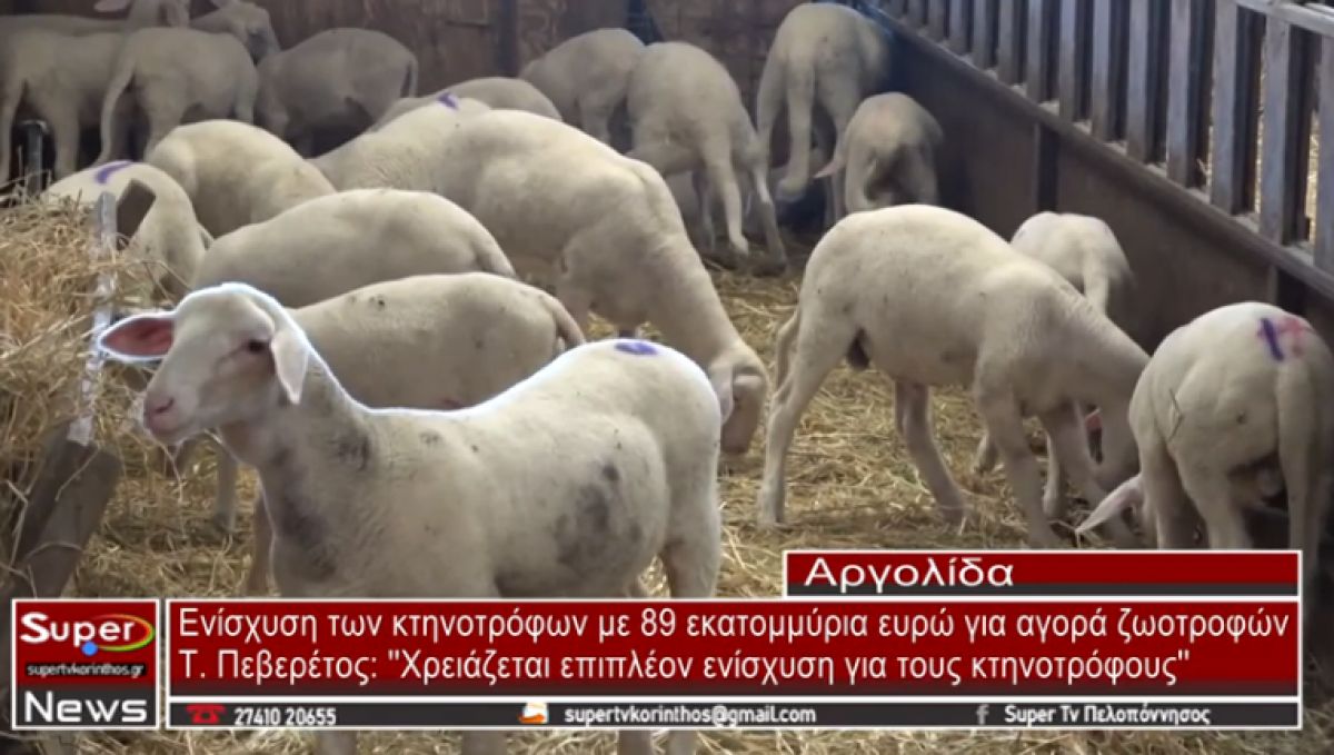 Ενίσχυση των κτηνοτρόφων με 89 εκατομμύρια ευρώ για αγορά ζωοτροφών (video)