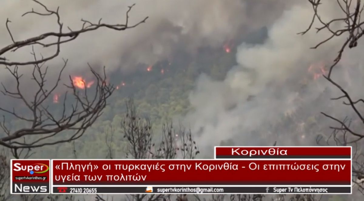 Γκιολής: &quot;Πληγή για την Κορινθία οι πυρκαγιές&quot;