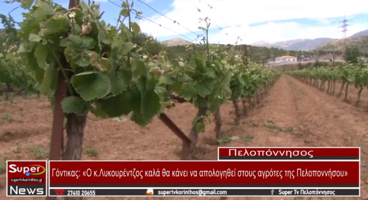 Γόντικας: «Ο κ. Λυκουρέντζος καλά θα κάνει να απολογηθεί στους αγρότες της Πελοποννήσου» (video)