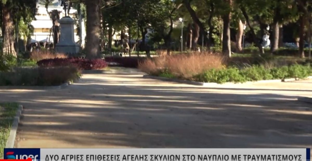 ΔΥΟ ΑΓΡΙΕΣ ΕΠΙΘΕΣΕΙΣ ΑΓΕΛΗΣ ΣΚΥΛΙΩΝ ΣΤΟ ΝΑΥΠΛΙΟ ΜΕ ΤΡΑΥΜΑΤΙΣΜΟΥΣ (VIDEO)