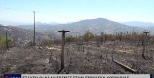 ΣΤΑΧΤΗ ΟΙ ΚΑΛΛΙΕΡΓΕΙΕΣ ΣΤΗΝ ΣΤΙΜΑΓΚΑ ΚΟΡΙΝΘΙΑΣ (VIDEO)