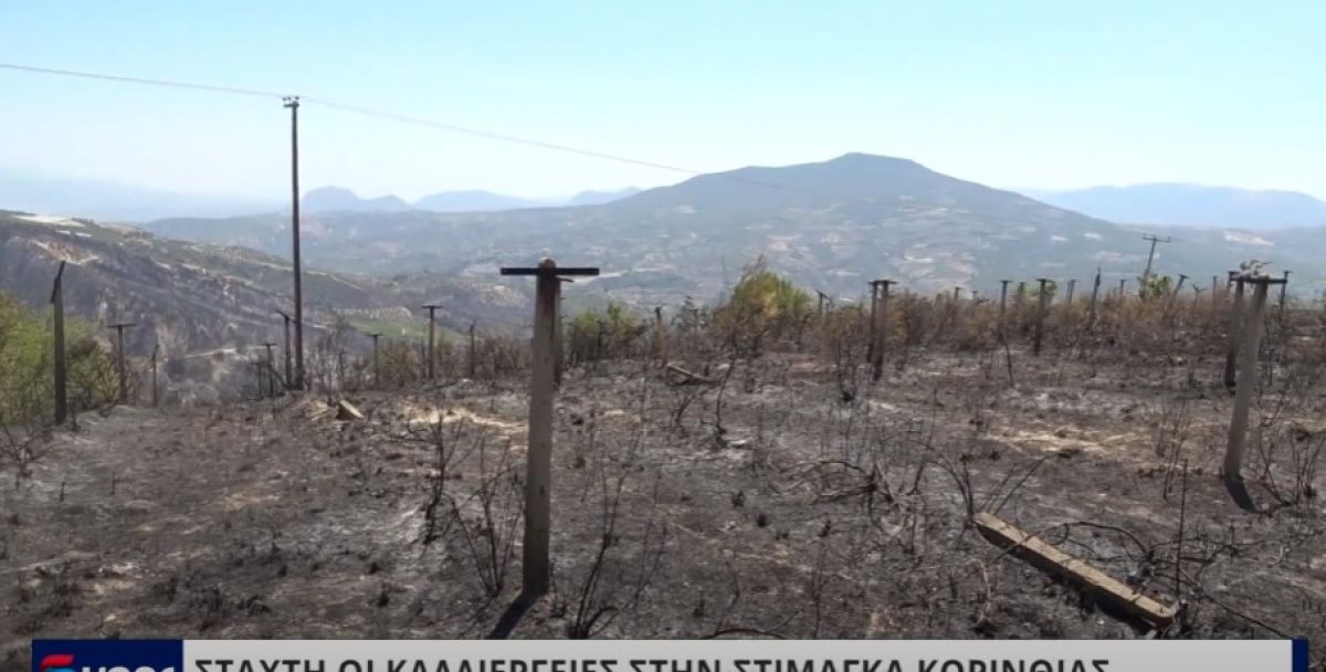 ΣΤΑΧΤΗ ΟΙ ΚΑΛΛΙΕΡΓΕΙΕΣ ΣΤΗΝ ΣΤΙΜΑΓΚΑ ΚΟΡΙΝΘΙΑΣ (VIDEO)