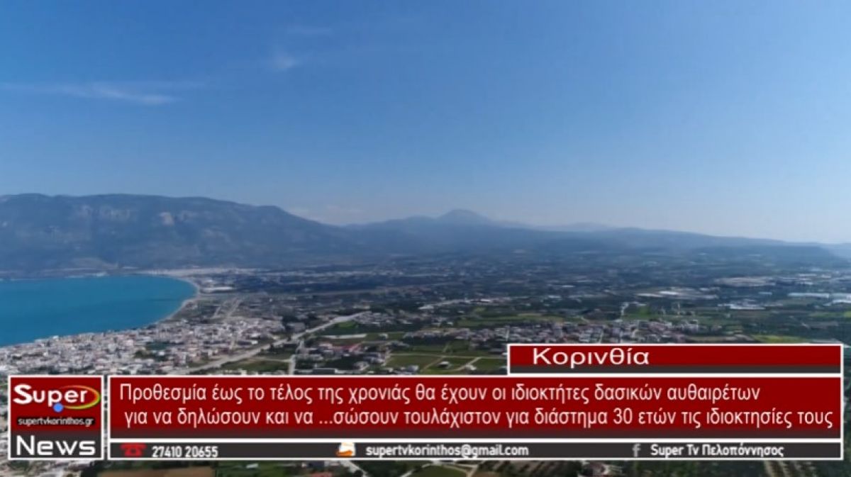 VIDEO: Προθεσμία έως το τέλος της χρονιάς θα έχουν οι ιδιοκτήτες δασικών αυθαιρέτων