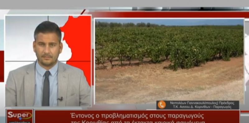 Ο Ναπολέων Γιαννακουλόπουλος στο Κεντρικό Δελτίο Ειδήσεων (Bιντεο)