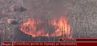 Επικίνδυνη φωτιά σε περιοχή με πορτοκαλιές και χαμηλή βλάστηση στα Πυργιώτικα Ναυπλίου (ΒΙΝΤΕΟ)