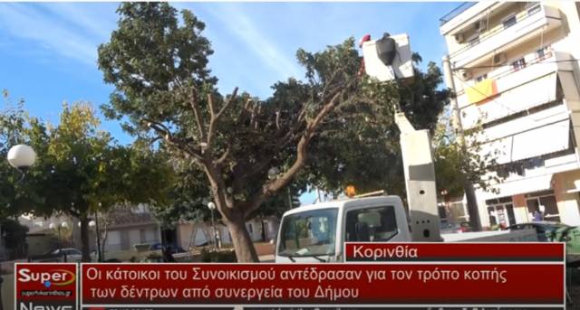 Αρκετοί κάτοικοι του Συνοικισμού αντέδρασαν για τον τρόπο κοπής των δέντρων από συνεργεία του Δήμου