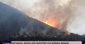 ΑΡΓΟΛΙΔΑ: ΦΩΤΙΑ ΑΠΟ ΚΕΡΑΥΝΟ ΣΤΑ ΔΕΝΔΡΑ ΜΙΔΕΑΣ (VIDEO)