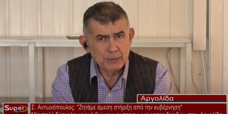 Μία πολύ δύσκολη χρονιά βιώνουν οι παραγωγοί ερπεριδοειδών στην Αργολίδα (video)