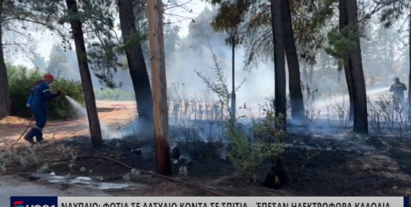 ΝΑΥΠΛΙΟ: ΦΩΤΙΑ ΣΕ ΑΛΣΥΛΙΟ ΚΟΝΤΑ ΣΕ ΣΠΙΤΙΑ – ΈΠΕΣΑΝ ΗΛΕΚΤΡΟΦΟΡΑ ΚΑΛΩΔΙΑ (VIDEO)